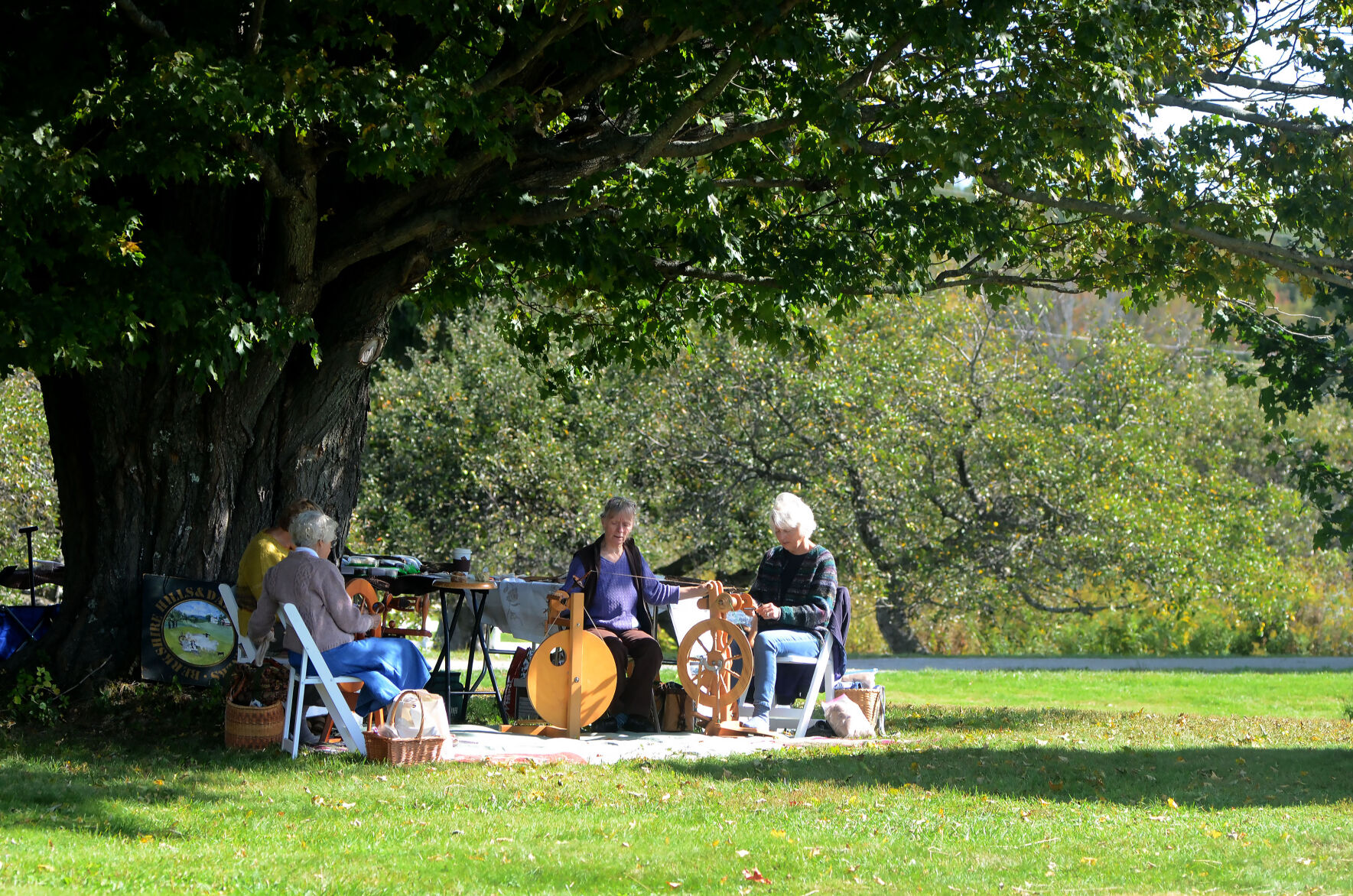 A group of people sit under a tree with looms